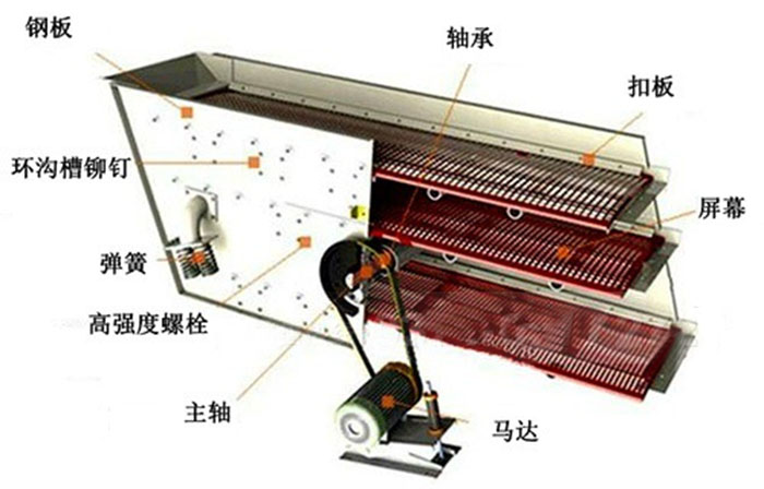 圓午夜人妻在线免费观看結構圖