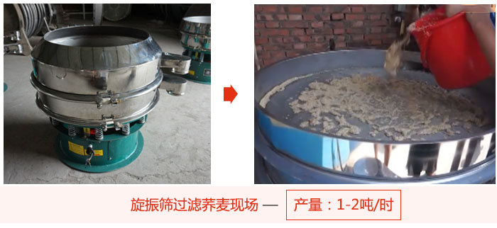 旋振篩過濾蕎麥現場，產量可達2噸每小時。