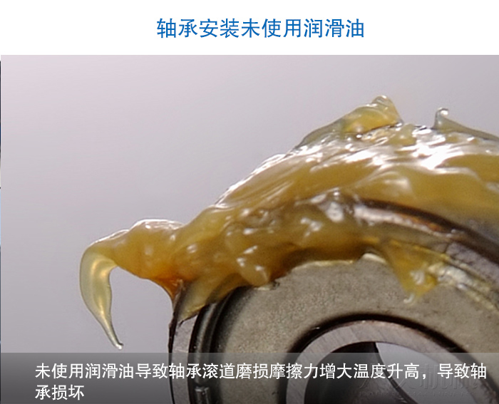 圓午夜人妻在线免费观看