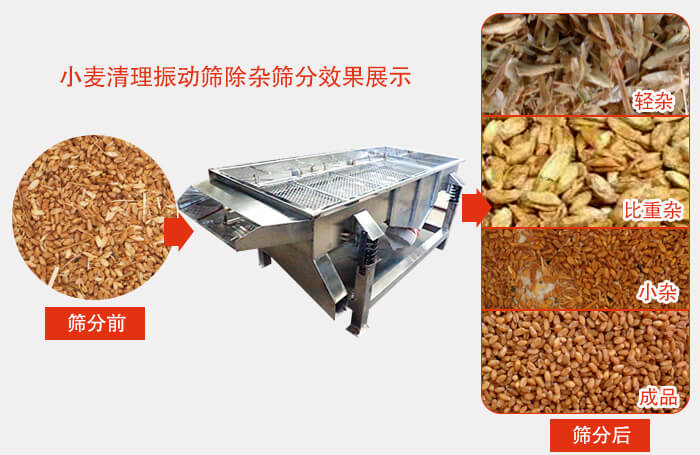 小麥清理午夜人妻在线免费观看小麥篩分效果展示圖可同時篩分出輕雜，比重雜，小雜，成品等四個等級。